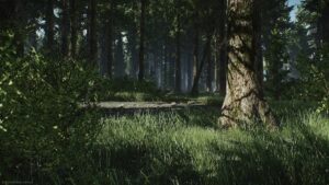 Guia de Mapas de Fuga do Bosque de Tarkov