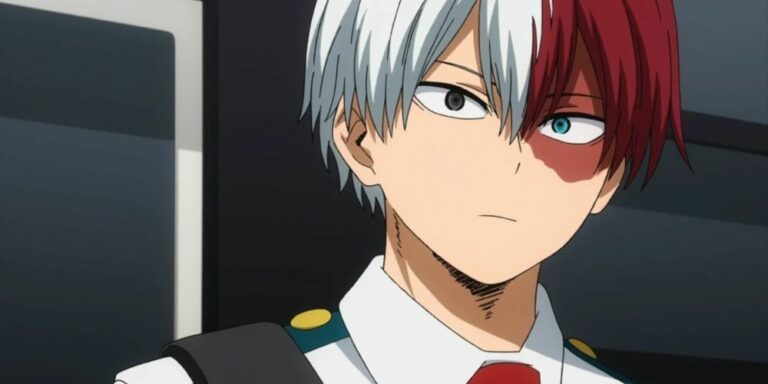 Shoto Todoroki neutral expression