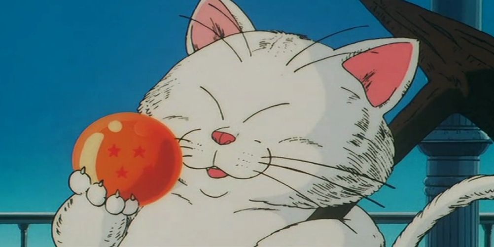 Korin examina uma Dragon Ball em Dragon Ball Z