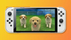 Onde está o switch Nintendogs?