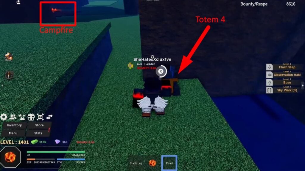 Roblox Haze Piece Totem 4 e fogueira