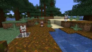 Todas as variantes do Wolf e onde encontrá-las no Minecraft