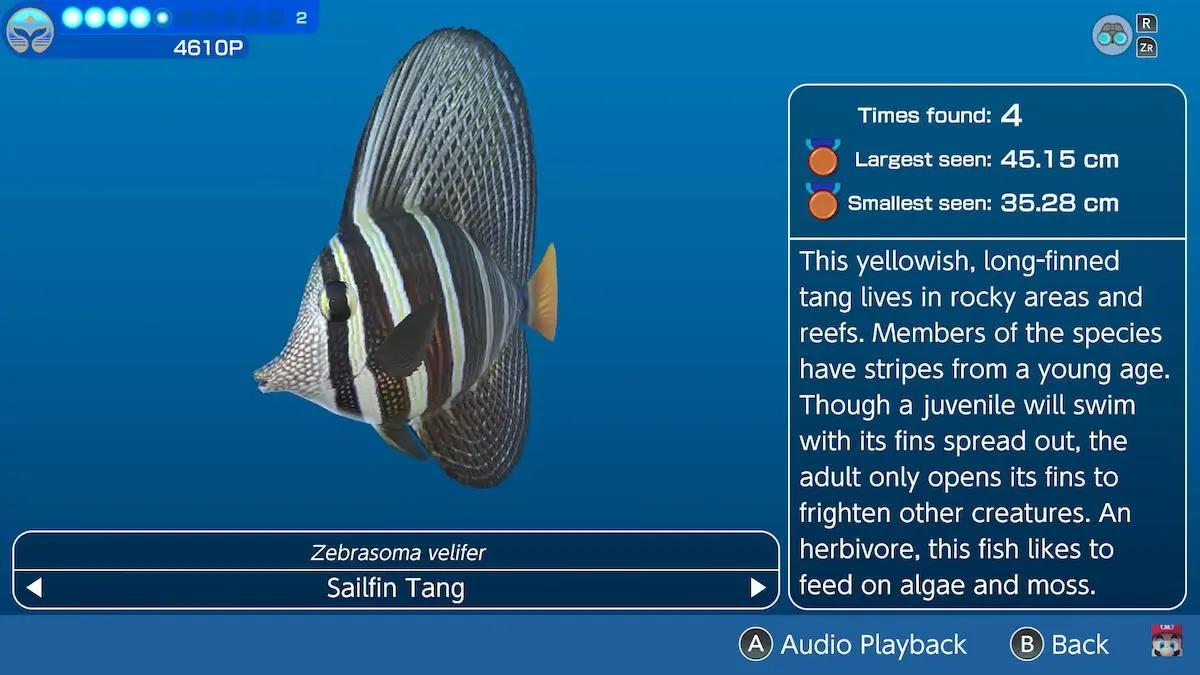 Uma captura de tela do trailer oficial de Endless Ocean Luminous.  A imagem mostra um peixe Sailfin Tang à esquerda, com listras pretas e brancas.  À direita, há informações sobre os peixes, incluindo quantos o jogador encontrou, o menor e o maior encontrado e onde encontrá-los. 