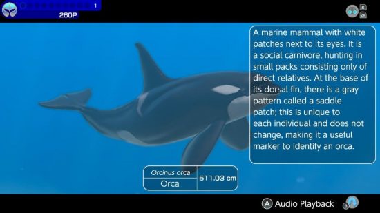 Captura de tela da análise do Endless Ocean Luminous mostrando uma orca nadando com uma caixa de informações ao lado