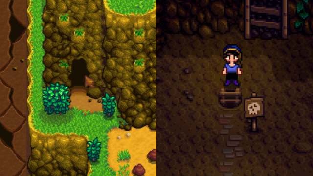 A entrada das carreiras menores de Stardew Valley