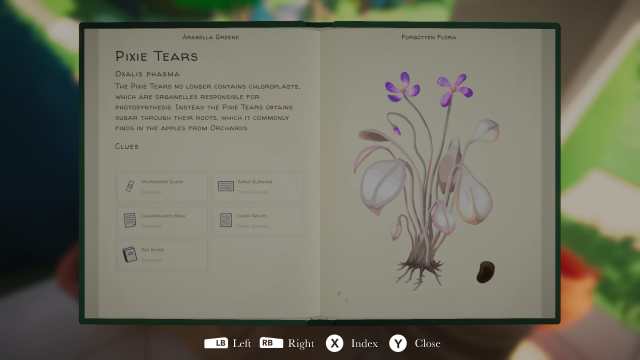 Perfil completo de Pixie Tears em Botany Manor 