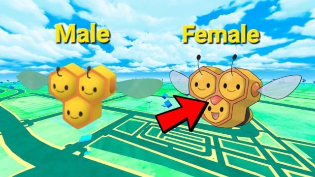 Diferenças entre Combee masculino e feminino no Pokémon Go