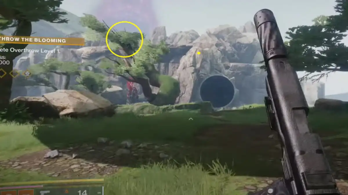 Uma grande árvore em Destiny 2