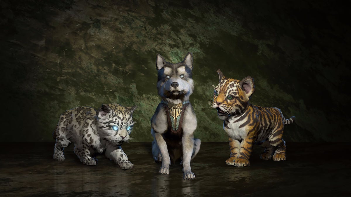 Animais de estimação bebês jaguar, lobo e tigre em Diablo 4
