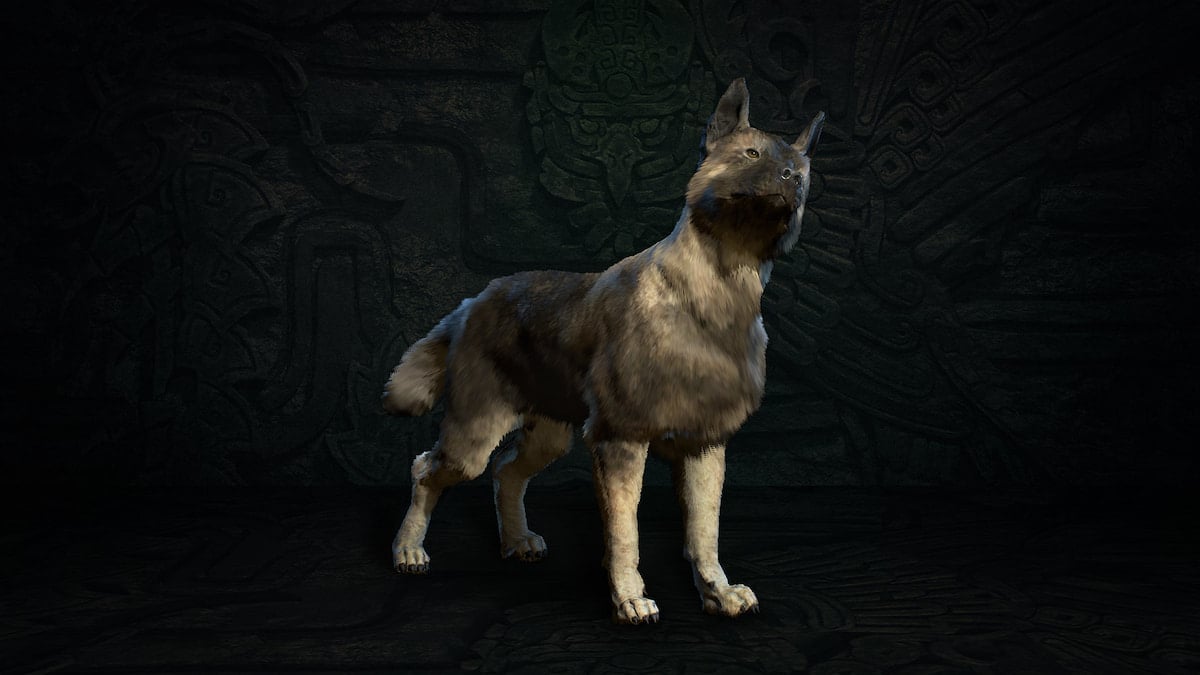 Cachorro de estimação Asheara em Diablo IV