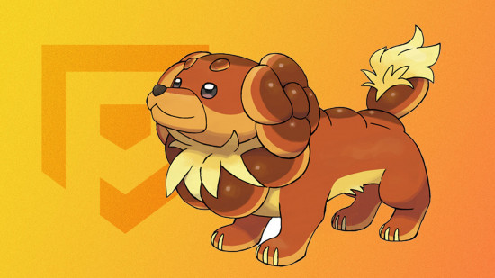 melhor pokémon da 9ª geração: Uma imagem do Dachsbun sentado.