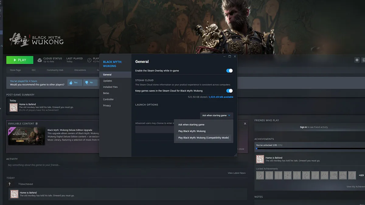 Opções de lançamento do Black Myth Wukong Steam