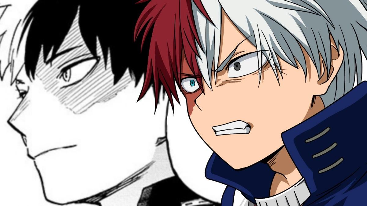 my-hero-academia-final-shoto-todoroki-time-skip.jpg