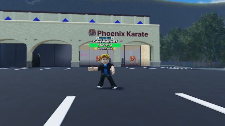 Roblox Rokarate Standing Outside White Phoenix Karate Building Swinging A Punch