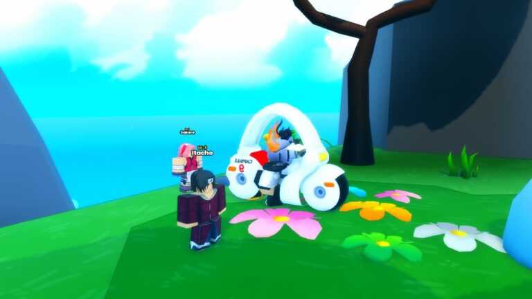 Roblox Anime Shadows In Bike Mount On Grass Near Ocean