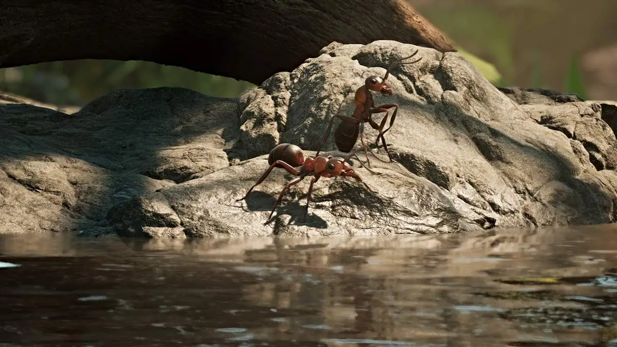 Par de formigas em Império das Formigas