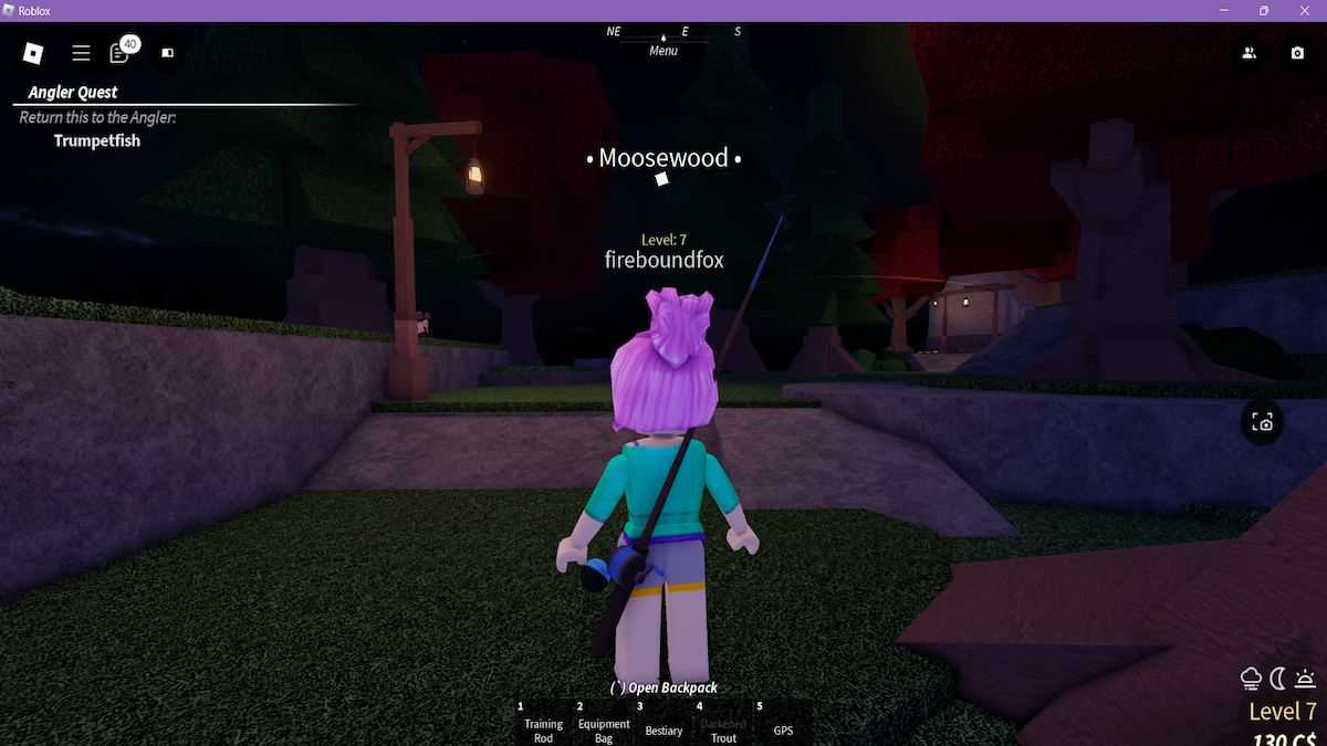 Veja depois de subir as escadas em Moosewood em Fisch no Roblox. 