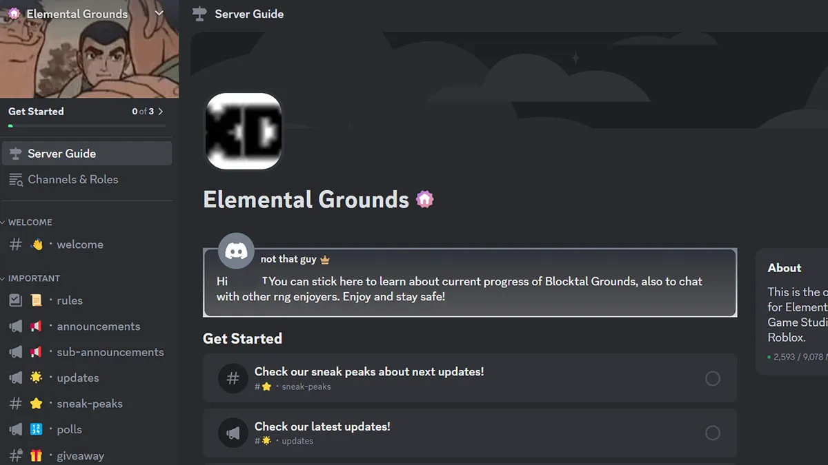 Servidor de Discord Elemental Grounds.