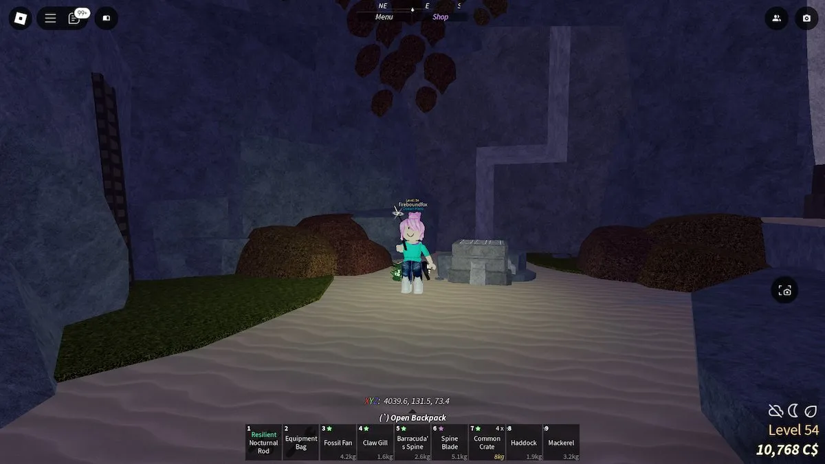 Porta e painel da caverna da Ilha do Sítio Arqueológico em Fisch no Roblox.