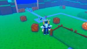 Roblox Brawl Tower Defense Standing On Grass Near Boxes