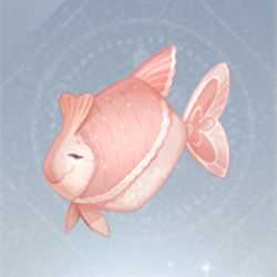 Peixe infinito Nikki kercheif