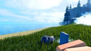 Roblox Lone Survival Hand Holiding A Lighter Near Grass And Rock At The Beach